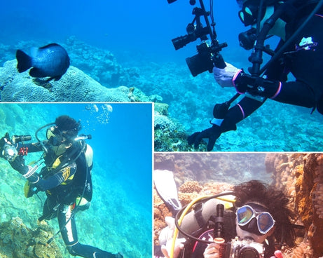 PU3535_7.jpg@fd3c29be6dcbe389cdf2272bc98954cc