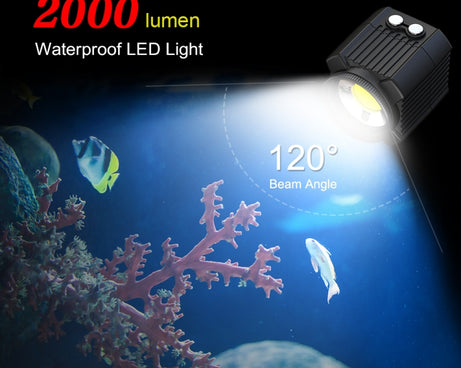 PU563B_4.jpg@e87a29199e7f521fce248ad383a6bbba