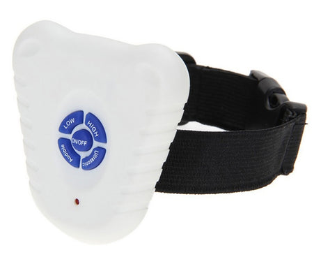 S-CA-1311_1.jpg@2901d59316a34fd20e66d636539235e2