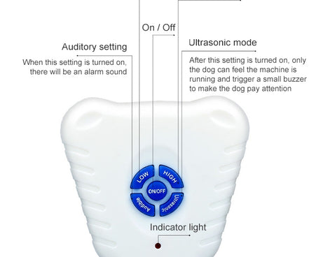 S-CA-1311_2.jpg@0f294b9a718112d975d13f460c3c5f4a