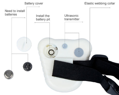 S-CA-1311_3.jpg@7a559b9c41257f4ab46606fbe5630b05