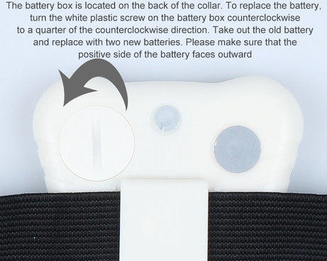 S-CA-1311_4.jpg@030f8d5194ef24d26d47658987ed0899