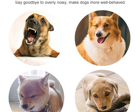 S-CA-1311_5.jpg@86489f367afeb6484847c321d724b58a