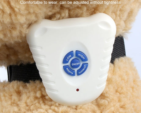 S-CA-1311_6.jpg@3b107e13d35d02613bb57a3cc616835e