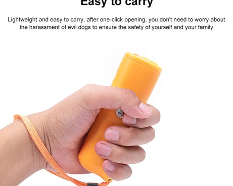 S-CA-1312_3.jpg@9a354131e7a57bd8f1c14e38e5222f43