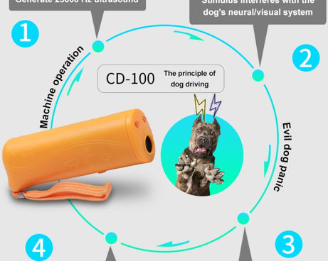 S-CA-1312_4.jpg@15115a119e0be6b8a9b523344af766ba