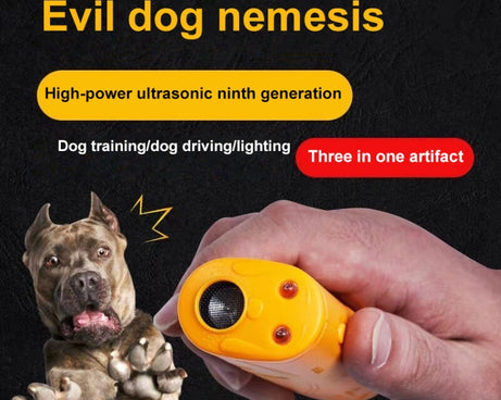 S-CA-1312_7.jpg@6ead961a52bccf2b0ee3218aa04cf796