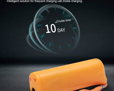 S-CA-1312_9.jpg@6c4dcc165209e059b6faf7379e500b5f