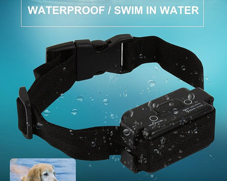 S-HPS-0204_10.jpg@55a195b05b26a13a2b184a2b2a25967d