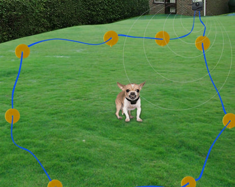 S-HPS-0204_11.jpg@883cf954d25ea899decf15e60d82f6e2