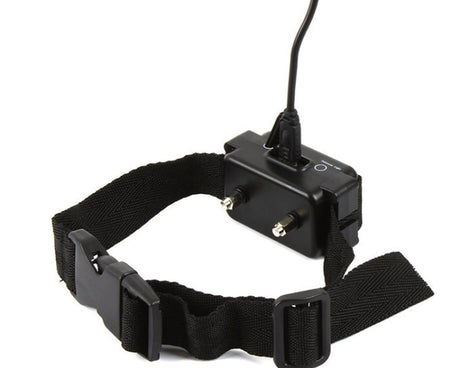 S-HPS-0204_5.jpg@e7df9064ab62c32bb3793c5314ed925f