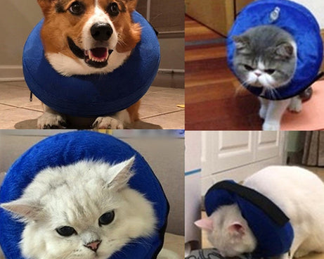 TBD0194852903A_3.jpg@611d05c69adc5f458319364af4536cef