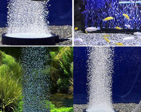 TBD0199502205_5.jpg@c98381947317339a88d8cc19ffffa25f