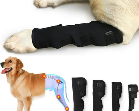 TBD0418926802.jpg@053d4a29829537217404deac2189c488