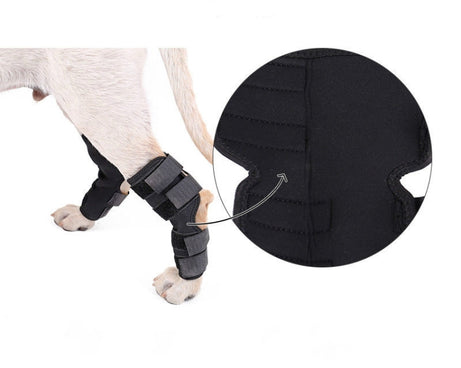 TBD0418926802_2.jpg@f5882443d3e3febe1a01f4b4a4f9db74