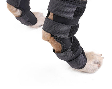 TBD0418926802_3.jpg@3bc7381607ac521fdcc0973a91ba6975