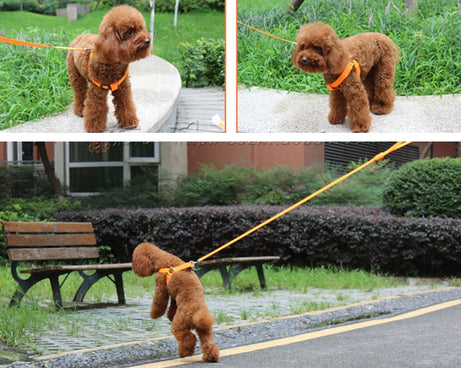 TBD0418929502D_4.jpg@a3ac112d503edbe6991d962d978e8678