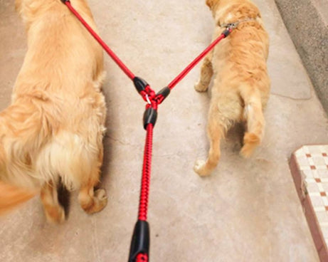 TBD0422088201C_6.jpg@39d6b7f6567768f0e5b0f03e8e306d68