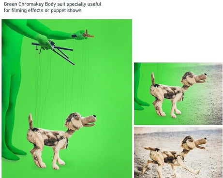 TBD0424021903_B6.jpg@5fd26693369ee9a69bbe27dc36d59628