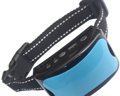 TBD0537578301_B1.jpg@7bf70efd7ea3ce0554e6b23e86e65c64