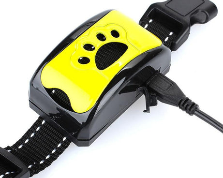 TBD0537578301_B2.jpg@57c27bfbfbdfdad044be068e3bc41f4d