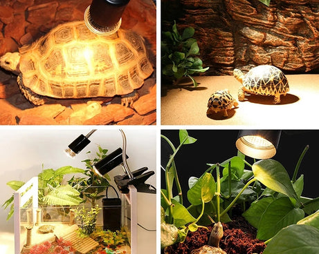 TBD05432833_4.jpg@76f89e49737bae83bca8ac24d938753e