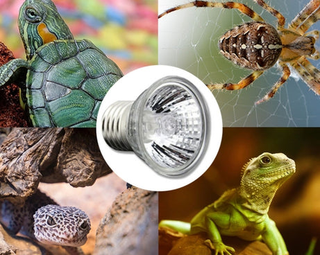 TBD0543283701_5.jpg@20e2867df3b098d050c219569d7f7f40