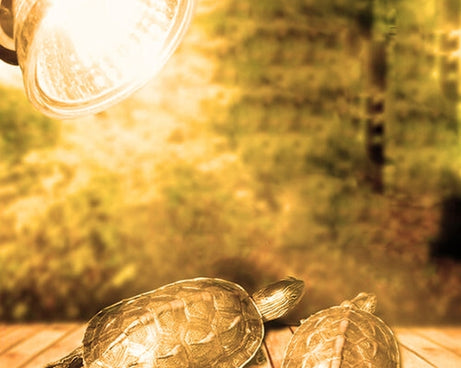 TBD0543283701_7.jpg@af0df011f71c6a4caa2a509e6c090ee4