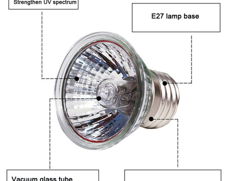 TBD0543283702_3.jpg@339145b5273fae4e60fc39bd7dfa43ab