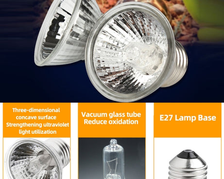 TBD0543283703_4.jpg@4a85533f618476710793ca50ddc1e522