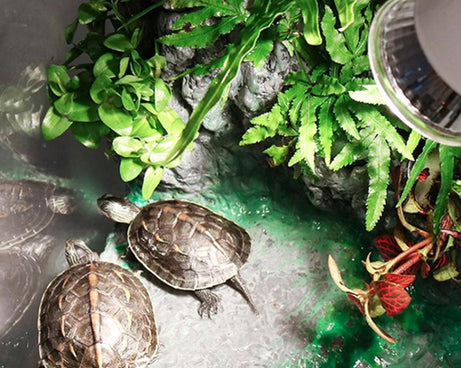 TBD0543283703_6.jpg@25b41b47185faec53f304696efb8758e