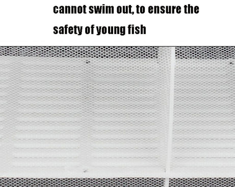 TBD05432851_4.jpg@f07888700856b4d4728fe17644b6248a