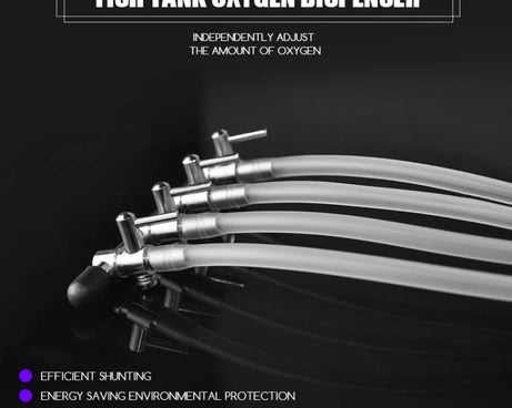 TBD0543463706_6.jpg@521a3bdd6a4668355137e7e48c123830