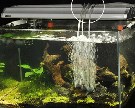 TBD0543463709_7.jpg@1a56b955c1b198d2b5b134bcc1778286