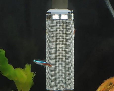 TBD0549463203_5.jpg@674b1922f749cb486e79b7a8b8ad20fa