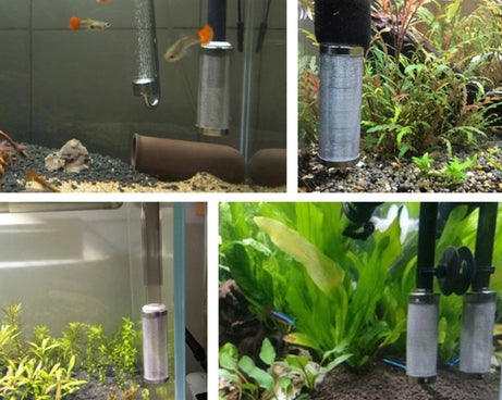 TBD0549463203_6.jpg@e009561c28314b28a9dc50b52ce40c0d