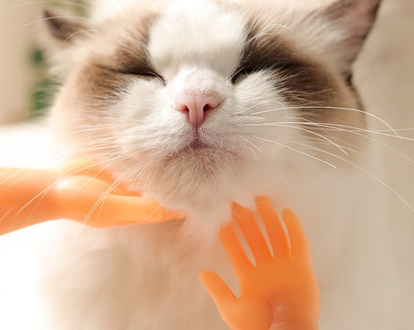 TBD05522376_5.jpg@d25996bdf6430f070e8e95488a130ae7