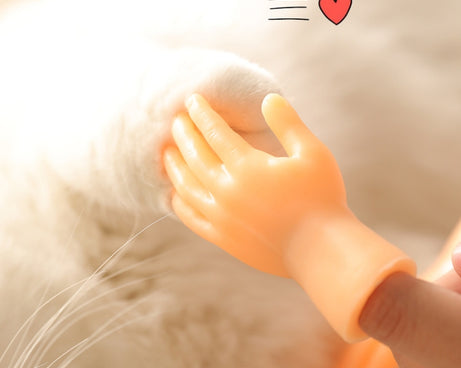 TBD05522376_6.jpg@fbd0cdbd8d7f24718b49869182e8f61d