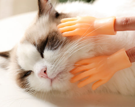 TBD05522376_7.jpg@823846acf1862b839257656175ce8a32