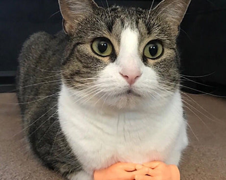 TBD05522376_8.jpg@89fc11c5b1a805d8374467b794e82ac3