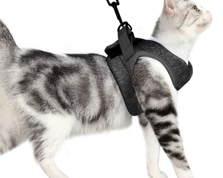 TBD0556776401A_1.jpg@fe66082a0f7e36f904a404b46d675da6