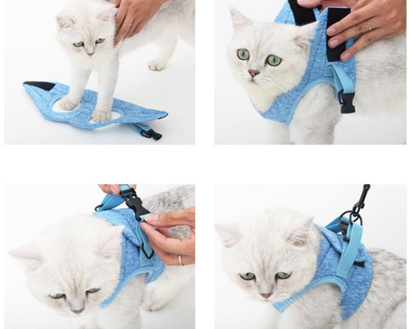 TBD0556776401_B1.jpg@9161132f87d0d1ac12e1f97cbd202453