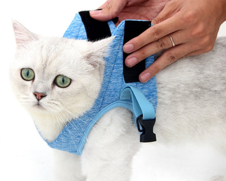 TBD0556776401_B2.jpg@6a1ac446ff1721f219f60cc47e6ba5e0