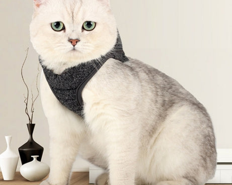 TBD0556776401_B5.jpg@9e55619abdabd86d39c4e4258bb2fc20