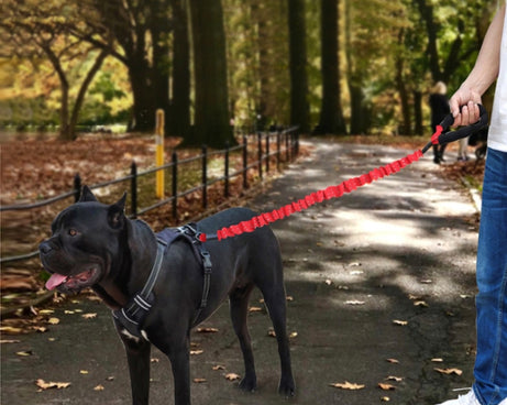 TBD0561232002_B4.jpg@e498f66120c7bb4bcdd6b6f72c1f800a