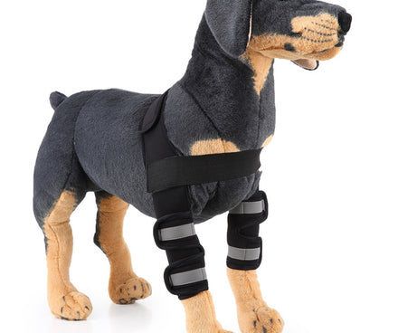 Pet Dog Leg Knee Guard Surgery Injury Protective Cover, S, M