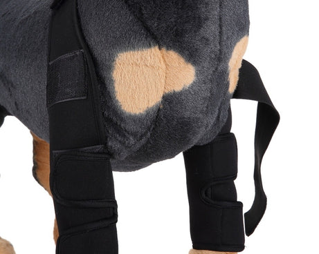 Pet Dog Leg Knee Guard Surgery Injury Protective Cover, L