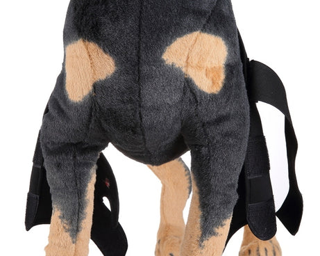 Pet Dog Leg Knee Guard Surgery Injury Protective Cover