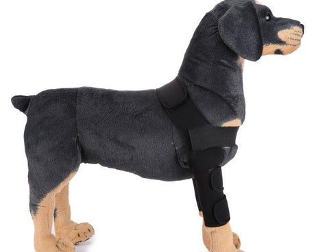Pet Dog Leg Knee Guard Surgery Injury Protective Cover, L