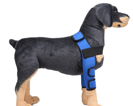 Pet Dog Leg Knee Guard Surgery Injury Protective Cover, L